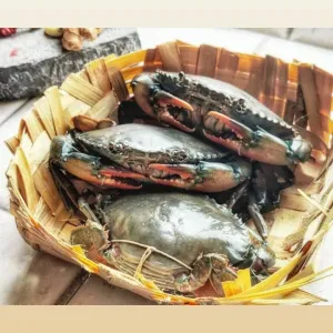 Live Mud Crabs 4/6 counts [150-250gms]