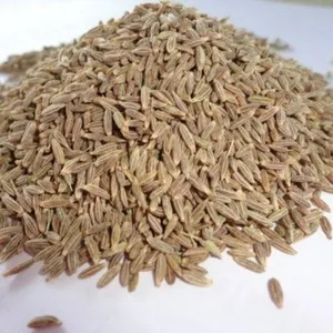 Jeera 250 gm. (जीरा)