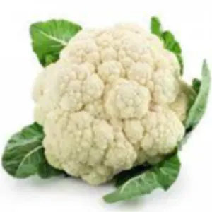 Cauliflower/Gobi puvvu/ కాలీఫ్లవర్