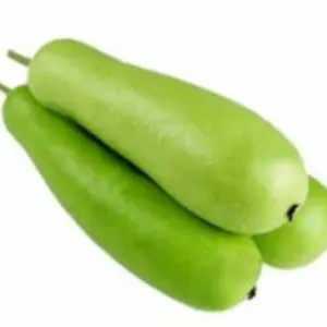 Bottle gourd/Sorakaya/ సొరకాయ