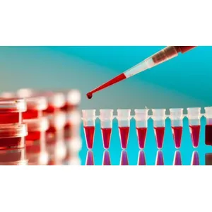 BLOOD TEST