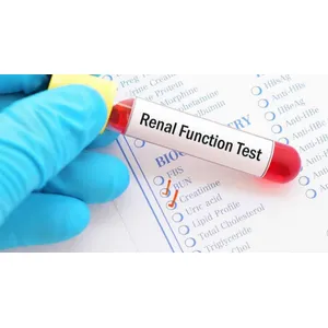 Kidney Function Test