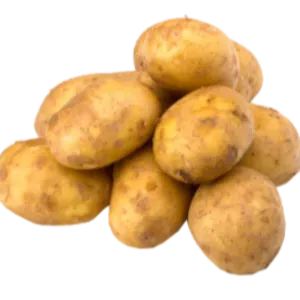 Potato