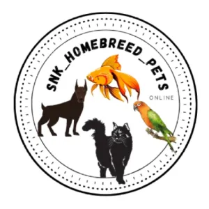 SNK HOME BREED PETS 