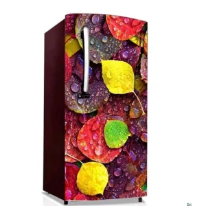170212893-Fridge stickers