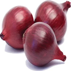 प्याज