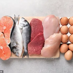 Eggs, Meat & Fish 