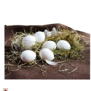 Desi Duck Eggs