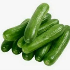 CUCUMBER ORGANIC