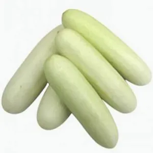 CUCUMBER