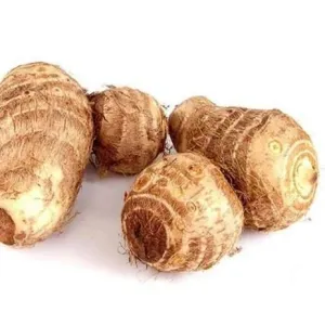 Seppan Kilangu (Arbi - Colocasia)