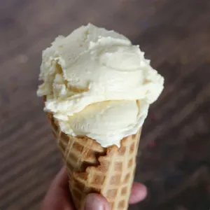Vanilla Cone