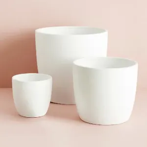 Pots & Accessories