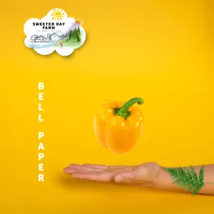 Bell Pepper