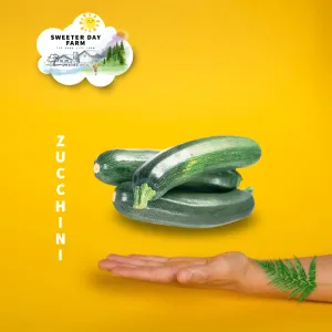 Zucchini