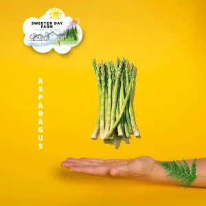 Asparagus