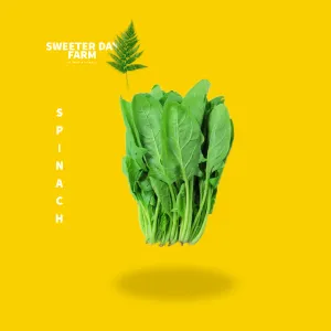 Spinach
