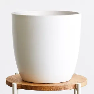 Large White Pot