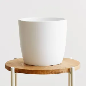Medium White Pot