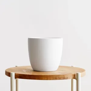 Small White Pot