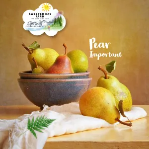 Pear (Important)