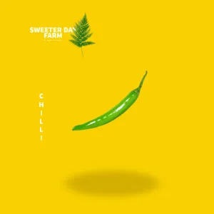 Green Chilli 
