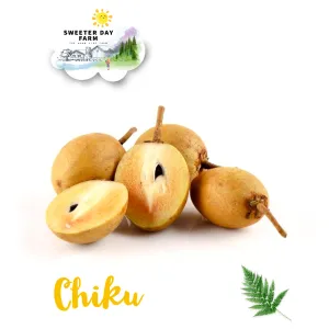 Chiku