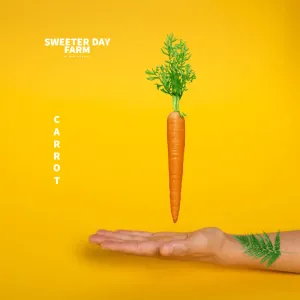Carrot
