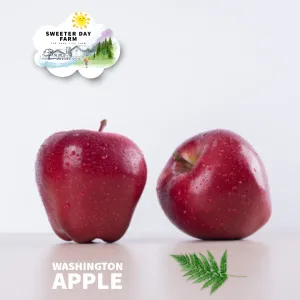 Washington Apple