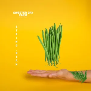 Green Beans