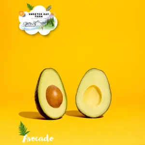 Avocado