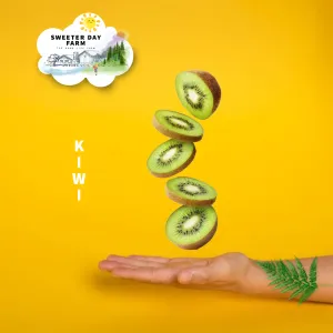 Kiwi (Important)