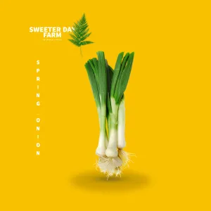 Spring Onion