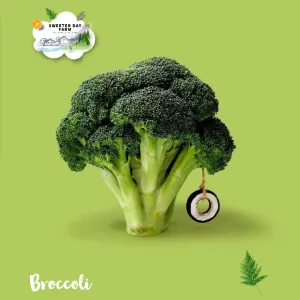Broccoli