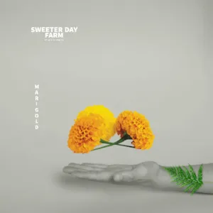 Marigold