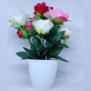 7 Rose Flower Bookeh