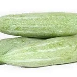 Snake gourd
