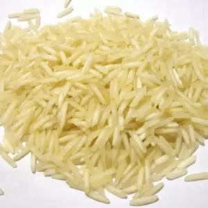  RICE