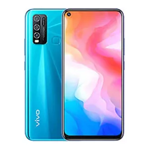 Vivo Y30