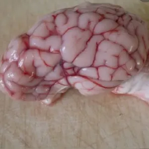 Lamb Brain