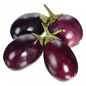 भरता बैंगन (Round Brinjal)
