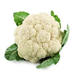 CAULIFLOWER / फूल गोबी/ ફ્લાવર