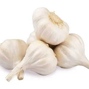 Garlic (Lahsun)🧄Big Size