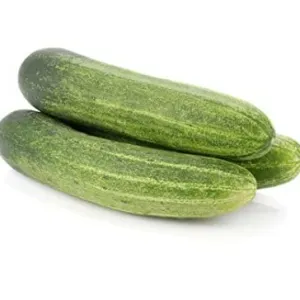 Kheera (cucumber) 🥒