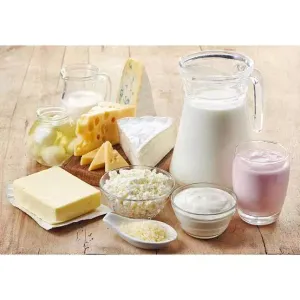 Dairy Products 