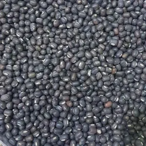 Sabut Urad black(Whole urad) 
