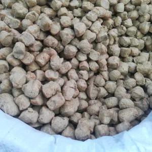 Soyabean