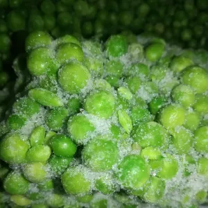 Green Valley matar (Loose) 