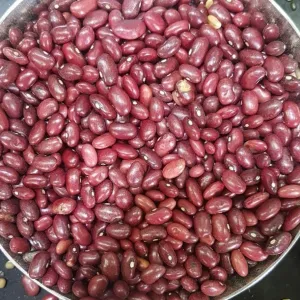 Rajma Kashmiri