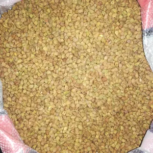 Chana (Desi) 